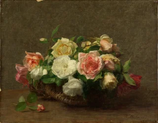 Roses